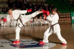 Un combattimento di karate