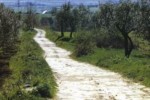 Un tratto della Via Francigena nei pressi di Acquapendente (Viterbo)