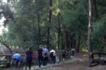 La visita al camminamento accessibile alle persone in carrozzina, che ha concluso il convegno del Parco di San Rossore (Pisa), dedicato all'accessibilità dei parchi