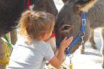 Una bimba insieme a un asinello dell'Associazione toscana Orecchie Lunghe & Passi Lenti