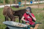 Un incontro con gli asinelli del progetto "OrtoAttivo Pet", promosso dall'Associazione Laluna di San Giovanni di Casarsa della Delizia (Pordenone)