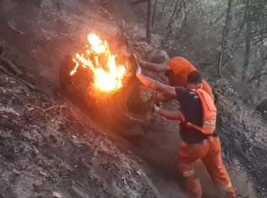 Incendio boschivo in Calabria