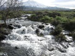 Un'immagine del Parco dell'Etna