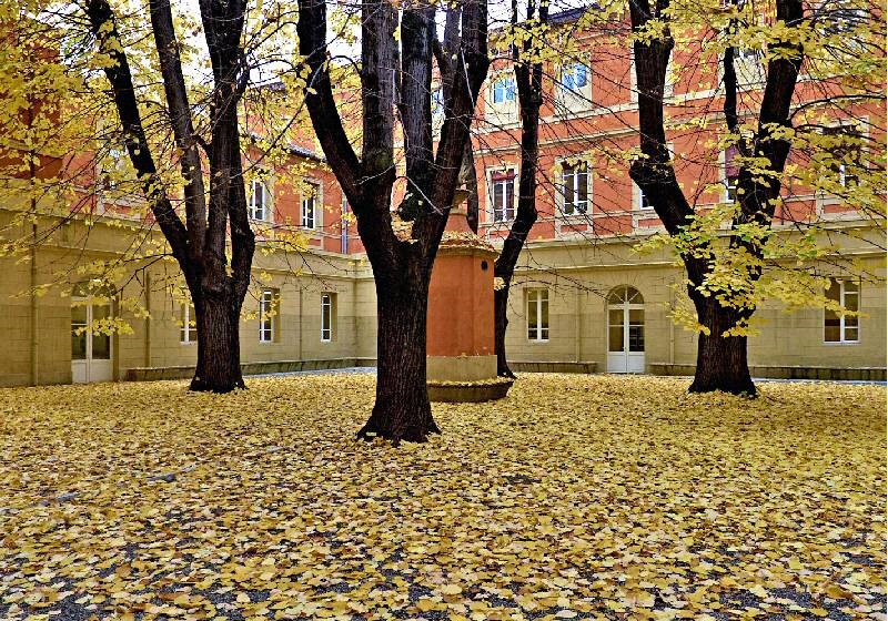 La Biblioteca della Salute Mentale e delle Scienze Umane Minguzzi-Gentili di Bologna, dove si terrà l'incontro del 10 dicembre