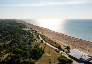 Uno scorcio di Bibione con la spiaggia e il mare e alle spalle la pineta