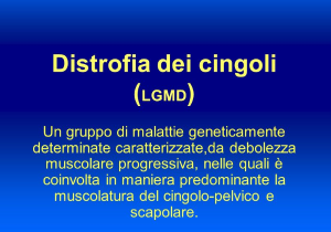 Scheda su distrofie muscolari dei cingoli