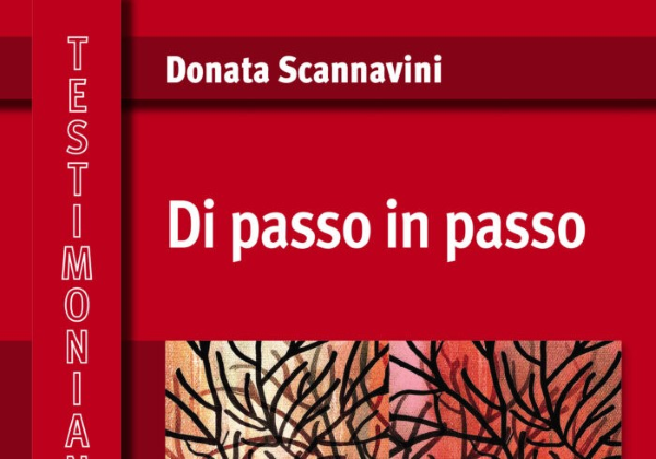 Donata Scannavini, "Di passo in passo""