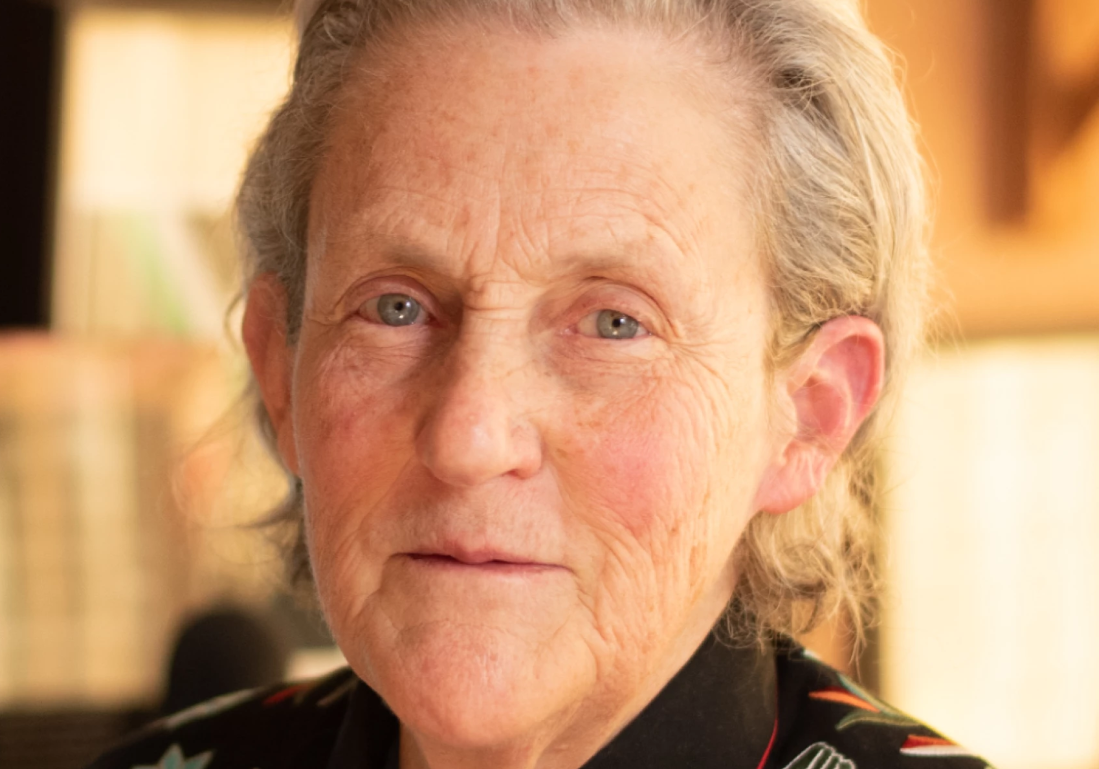 Temple Grandin, una delle persone più celebri al mondo nello spettro autistico