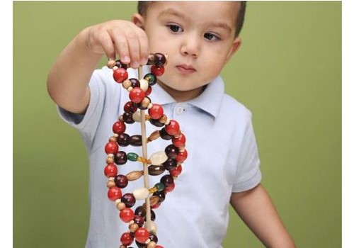 bambino che mostra a forma un gioco a forma di DNA