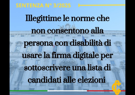 Un'elaborazione grafica che sintetizza il contenuto della Sentenza 3/25 della Corte Costituzionale