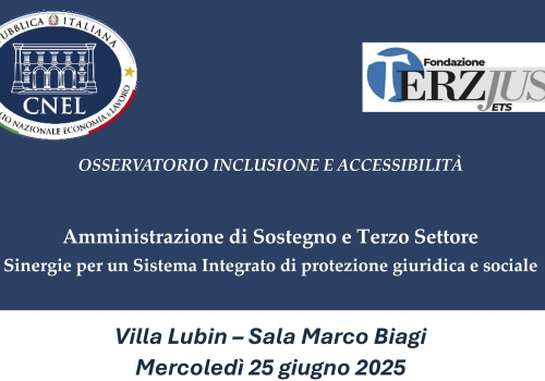 Incontro al CNEL sull'amministrazione di sostegno, 25 giugno 2025