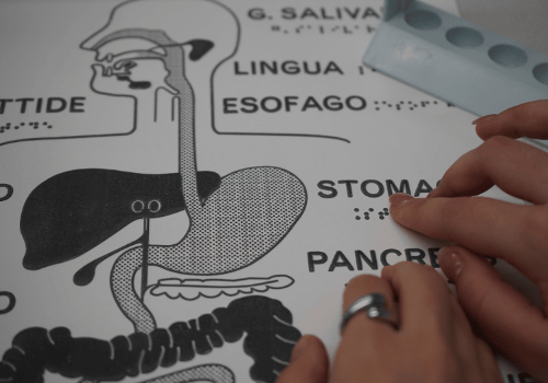 Progetto "Scienza senza barriere"