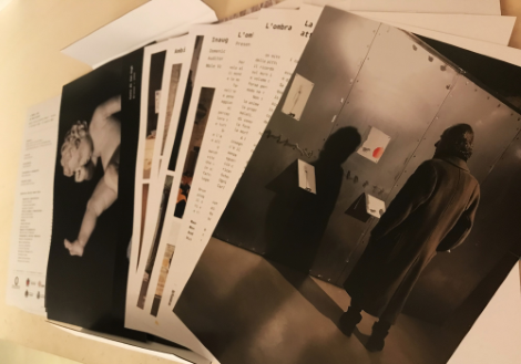 Alcune parti interne del catalogo della mostra "L'ombra vede"