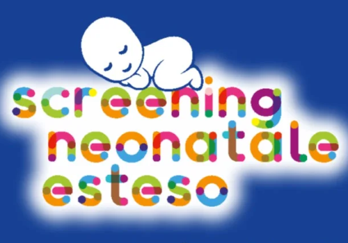 Realizzazione grafica elaborata dall'AISMME