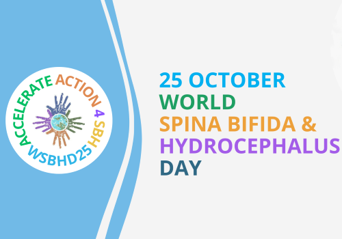 Spina bifida: prevenzione con acido folico, diagnosi precoce e gestione integrata