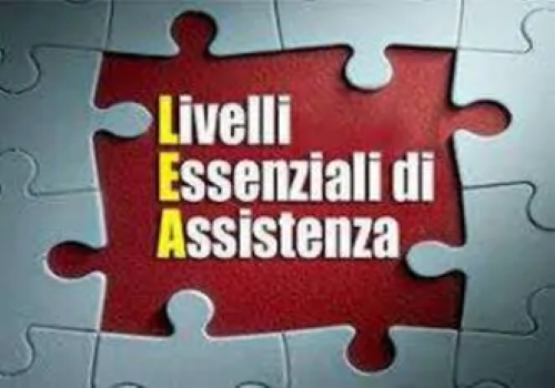 LEA (Livelli Essenziali di Assistenza) - puzzle