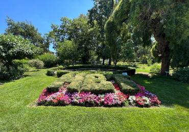 Orto Botanico di Torino