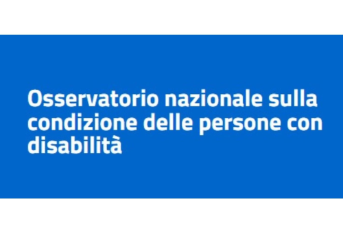 Osservatorio Nazionale sulla Condizione delle Persone con Disabilità