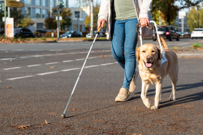 Particolare di persona con disabilità visiva, bastone bianco e cane guida