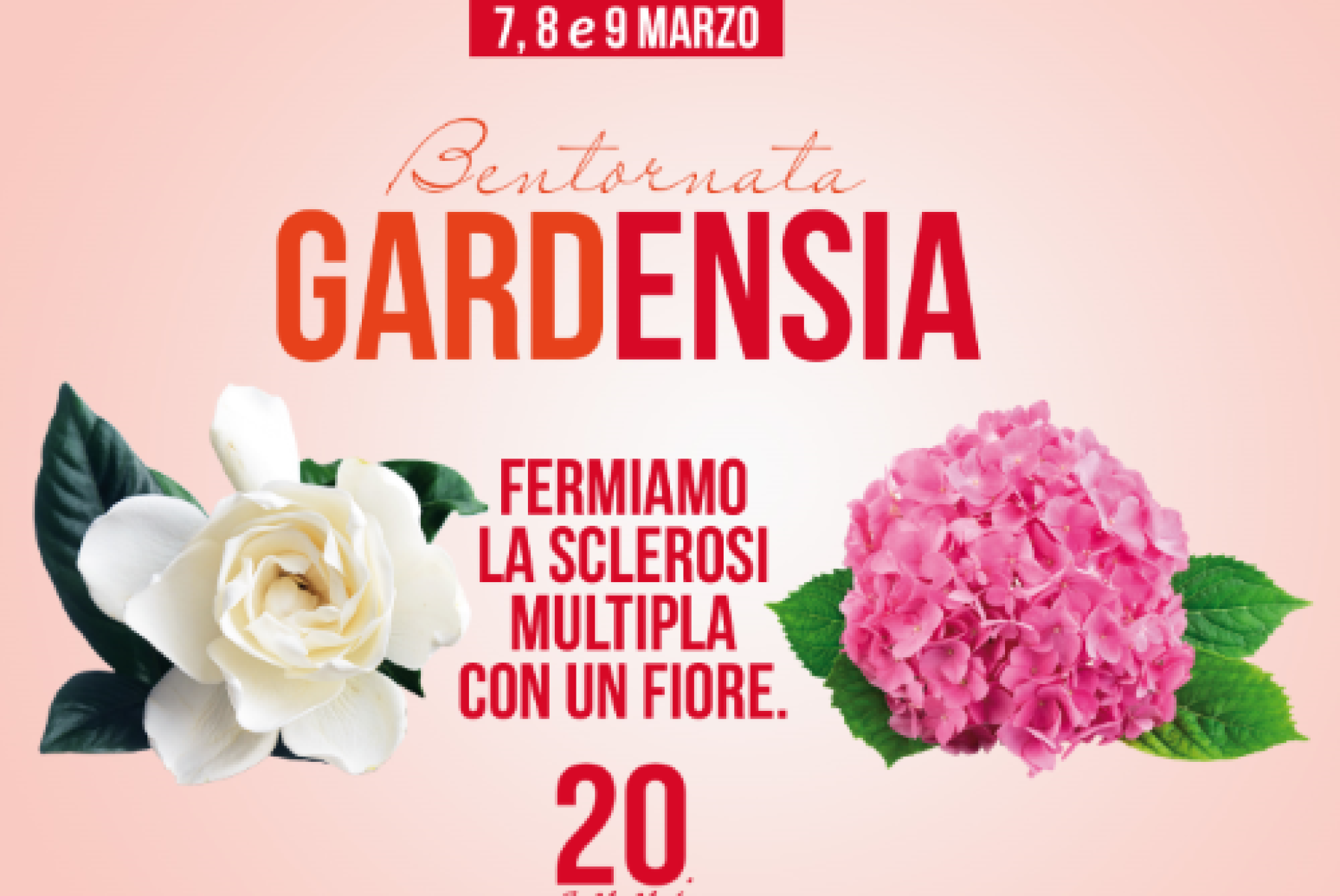 In 5.000 piazze d’Italia fiori e impegno per la ricerca sulla sclerosi multipla