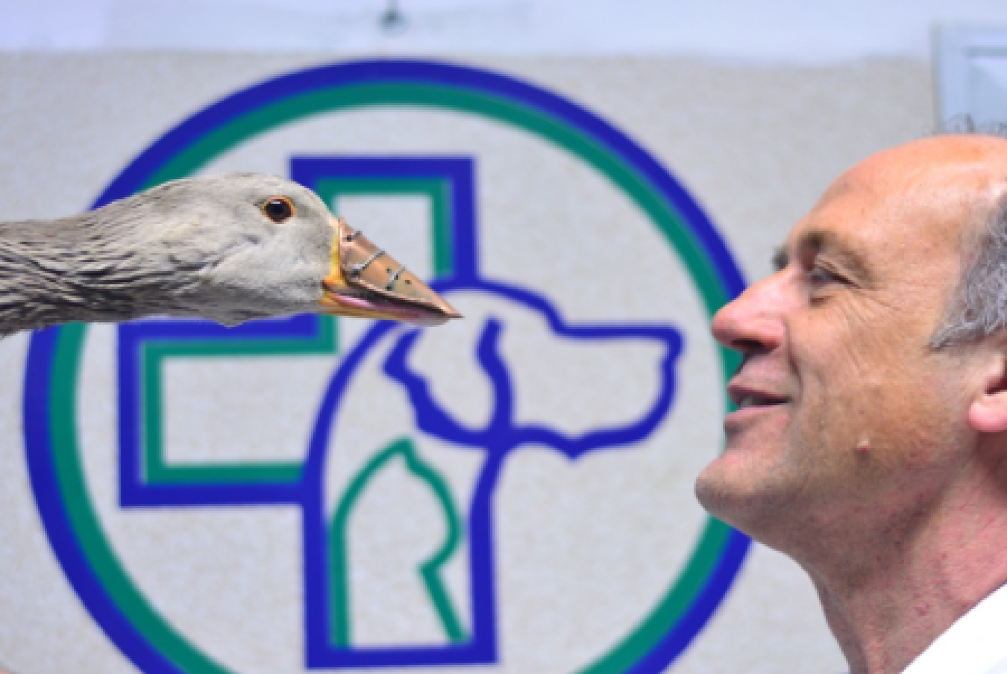 Becco di Rame e il veterinario Alberto Briganti