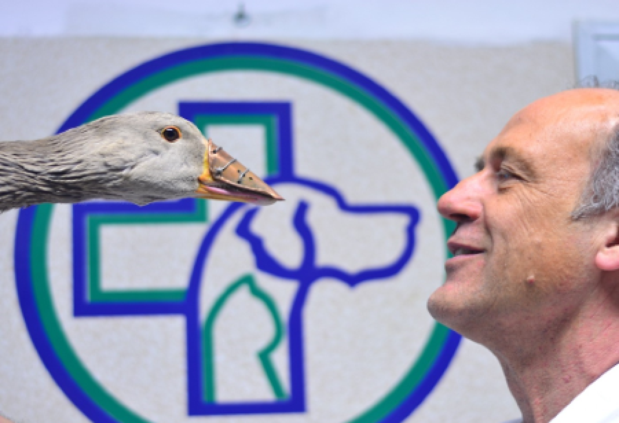 Becco di Rame e il veterinario Alberto Briganti