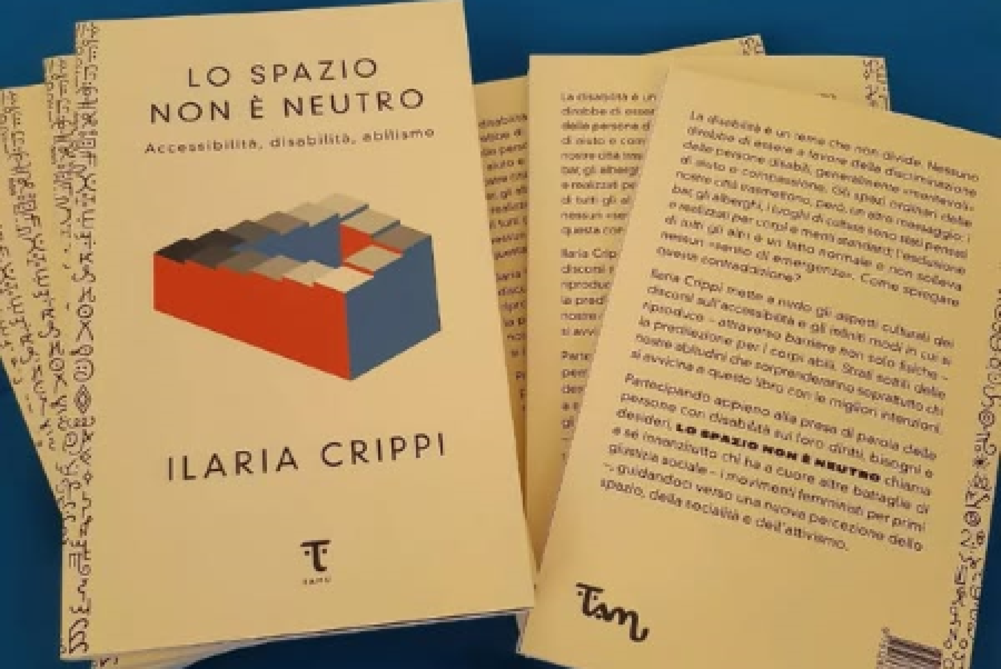 L’accessibilità non è un lusso: decostruire l’abilismo nei nostri spazi