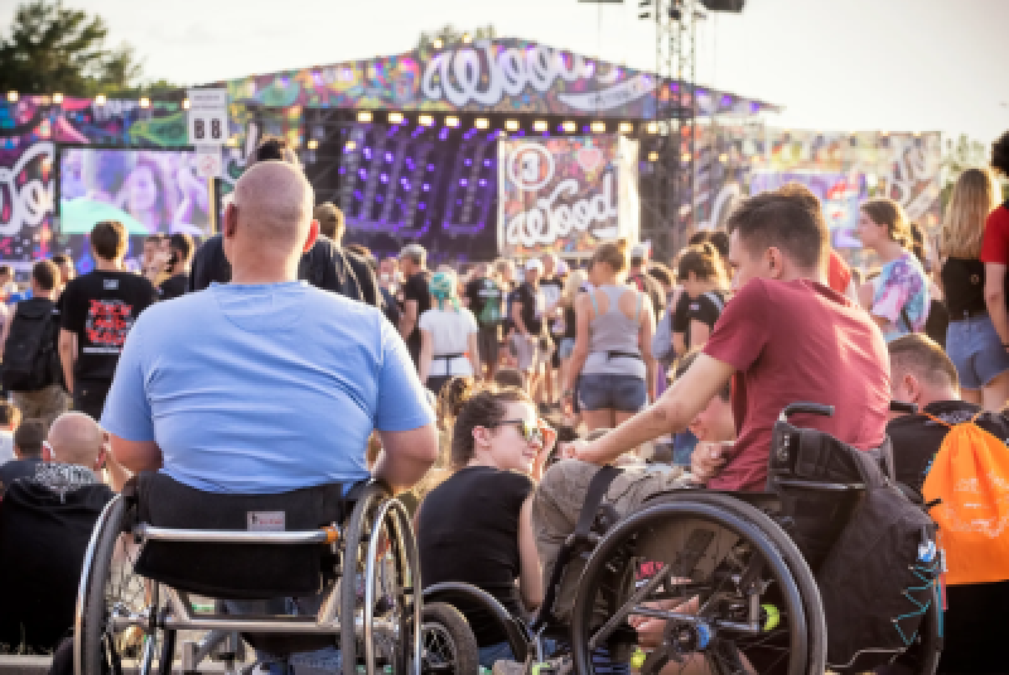 Persone con disabilità ad un evento live