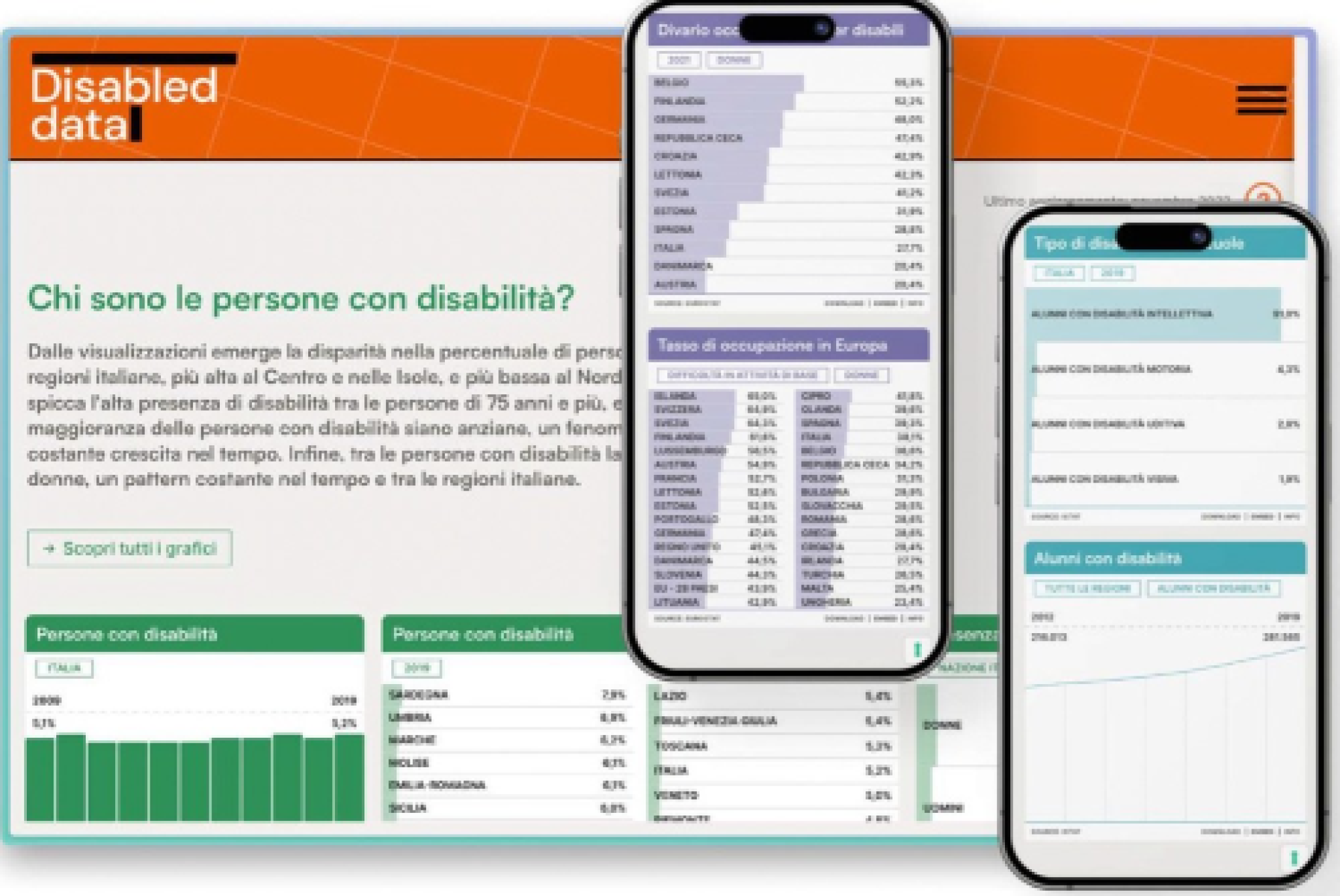 Particolare di elaborazione grafica di immagini dal portale "Disabled Data", che rappresenta diverse schermate del portale dati, a cura di Maurizio Piacenza