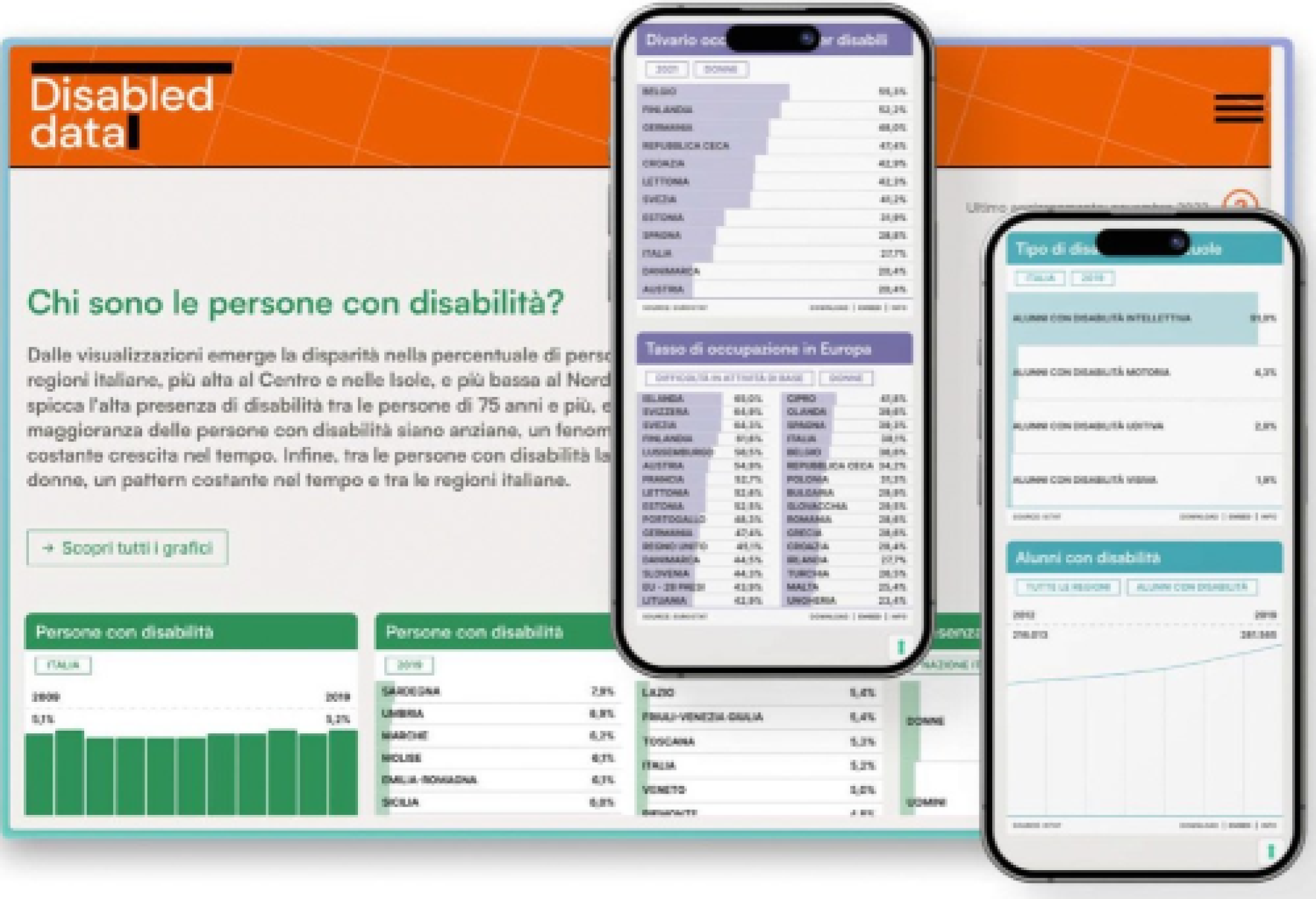 Particolare di elaborazione grafica di immagini dal portale "Disabled Data", che rappresenta diverse schermate del portale dati, a cura di Maurizio Piacenza