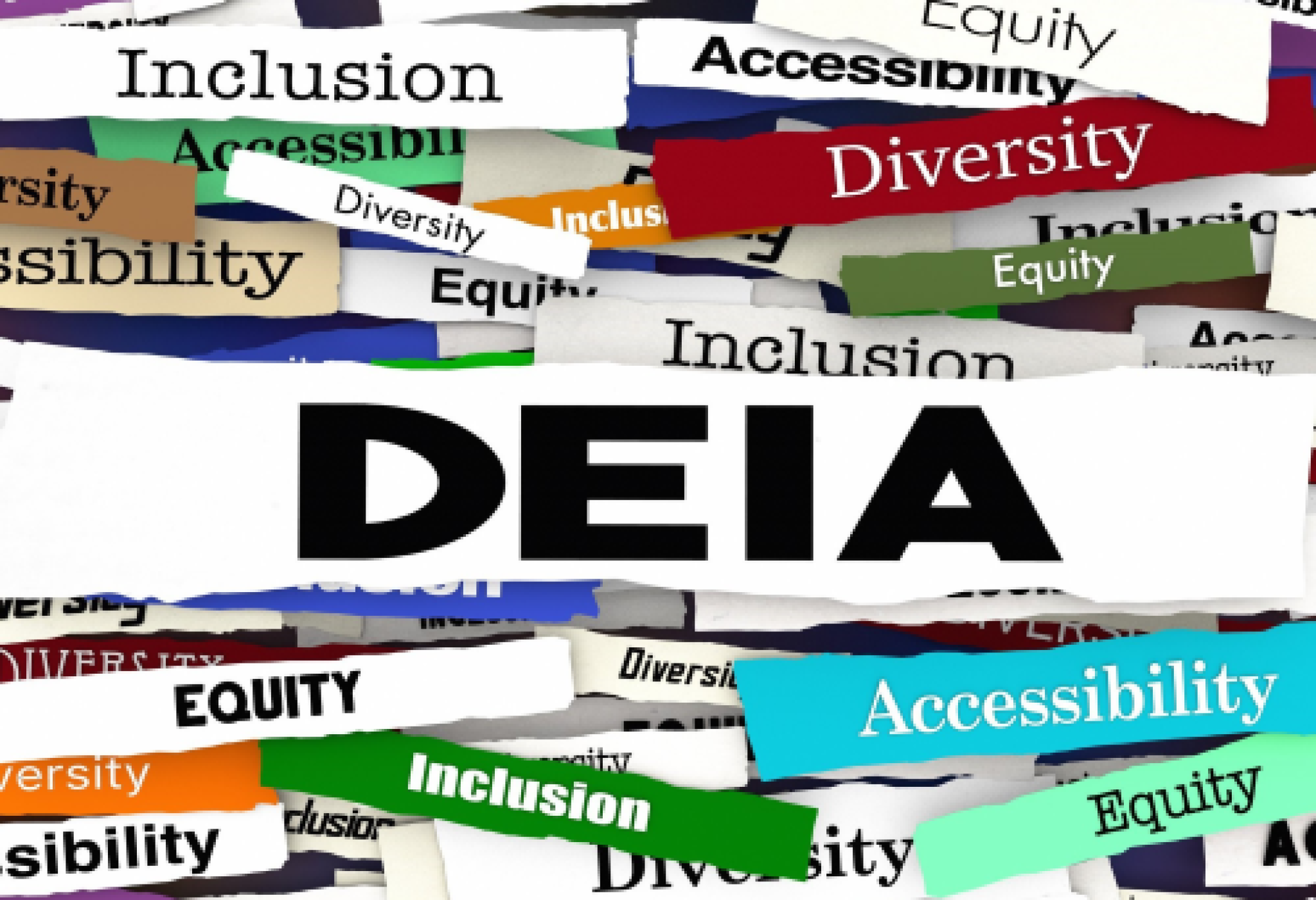 Non bisogna assolutamente arretrare, in Europa, su diversità, equità, inclusione e accessibilità!