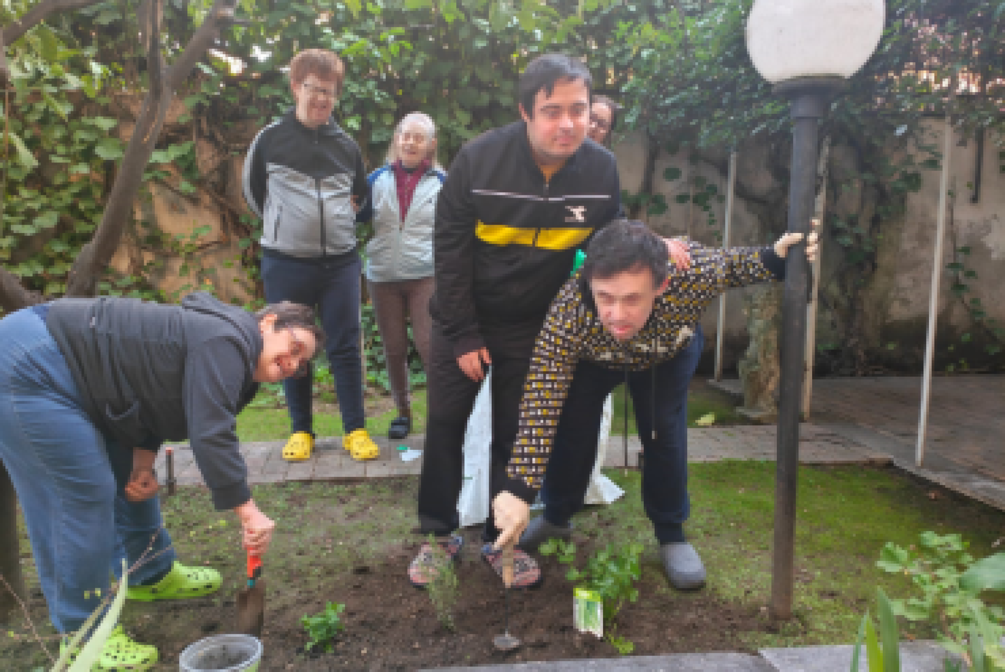 Persone della Fondazione Italiana Verso il Futuro impegnate in lavori di giardinaggio