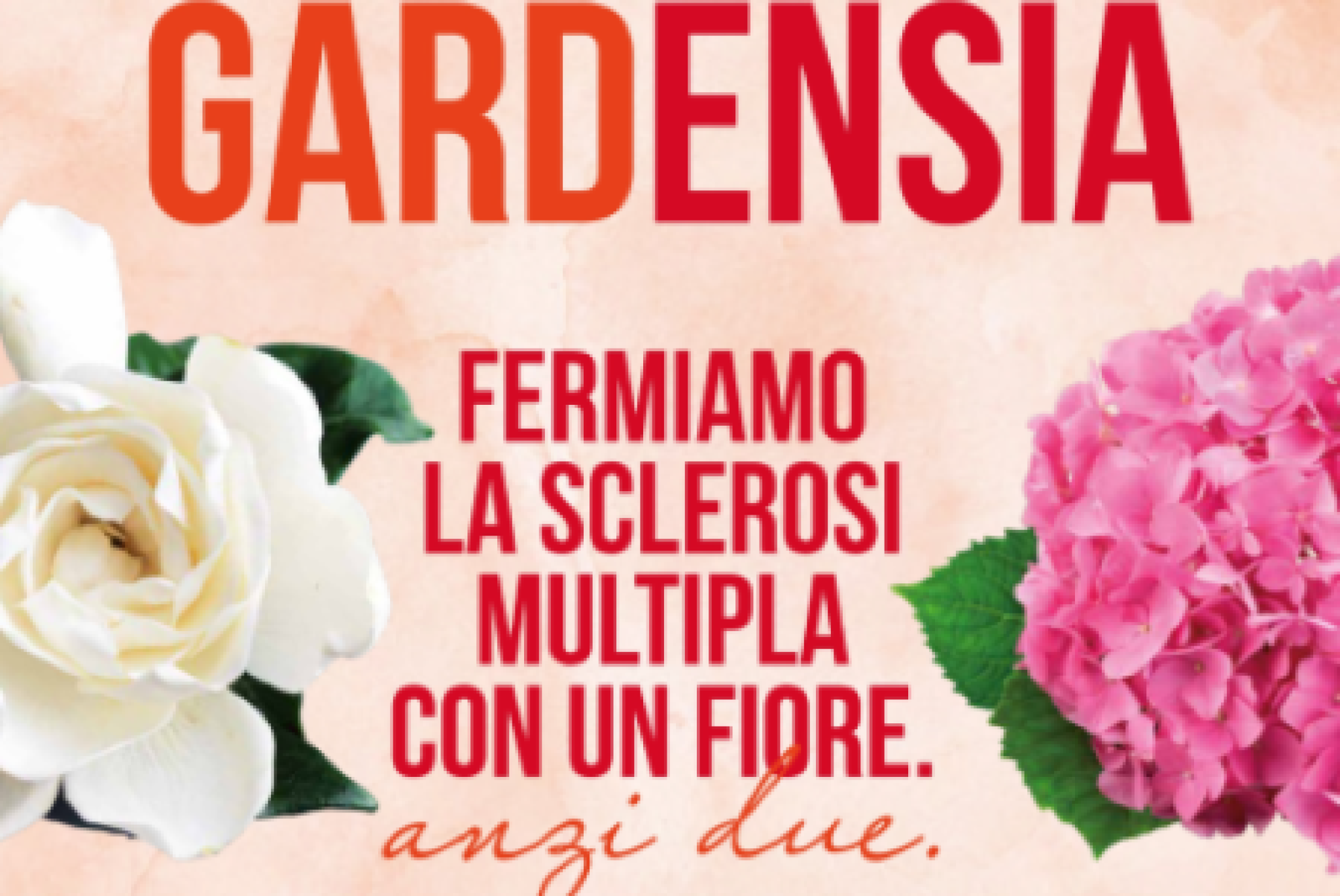 “Gardensia”: ogni fiore contribuisce a costruire risposte concrete per le persone con sclerosi multipla