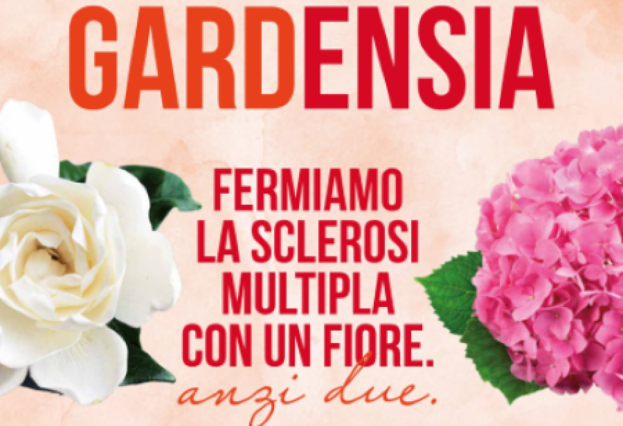 “Gardensia”: ogni fiore contribuisce a costruire risposte concrete per le persone con sclerosi multipla