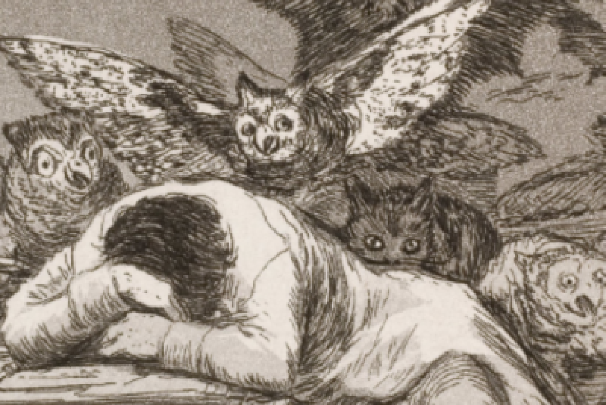Francisco Goya, "Il sonno della ragione genera mostri", 1797 (particolare)