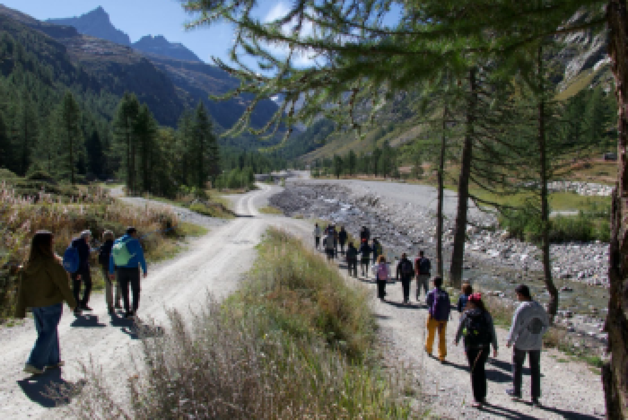 Persone coinvolte nel progetto "Inclusione Naturale"