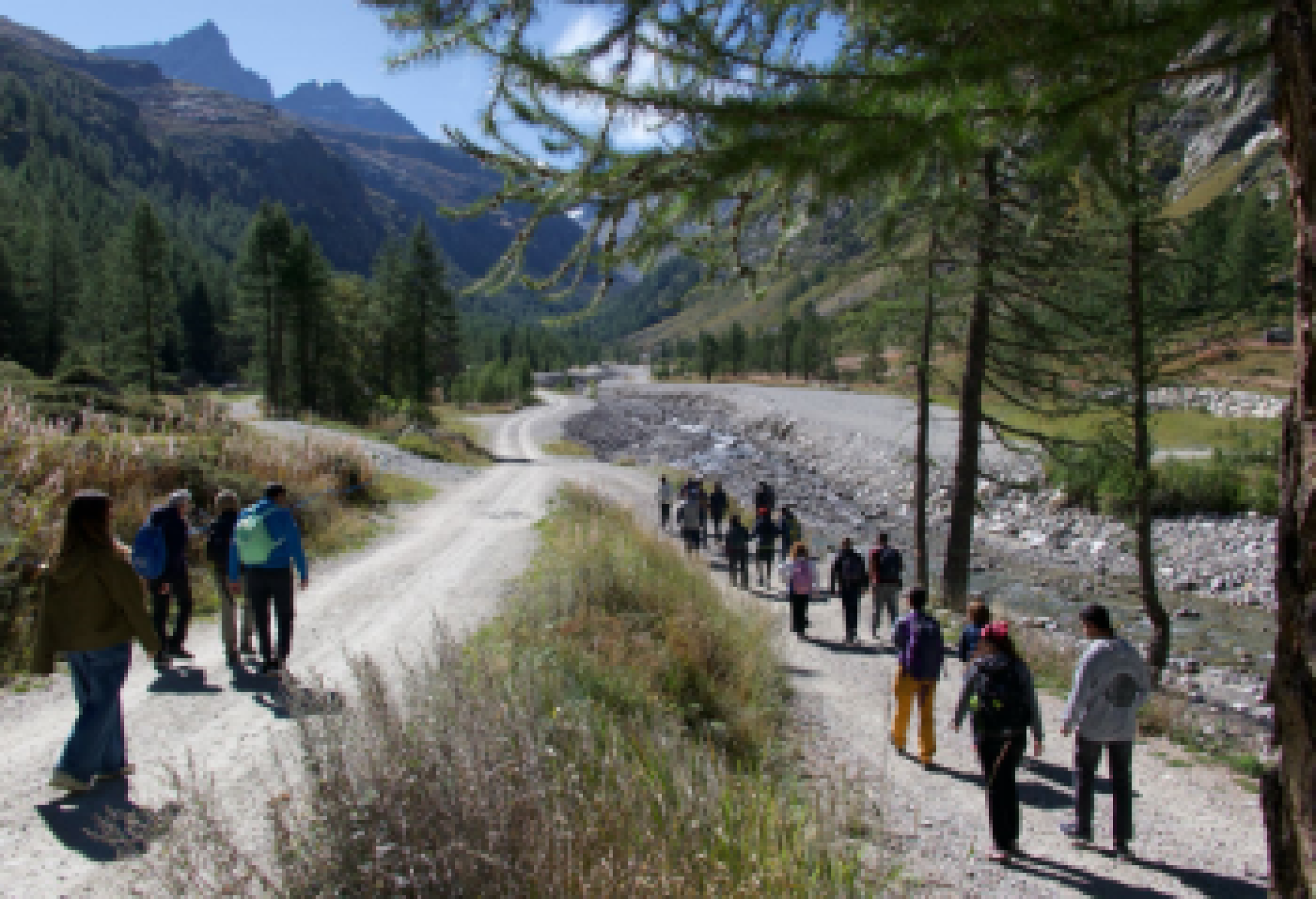 Persone coinvolte nel progetto "Inclusione Naturale"