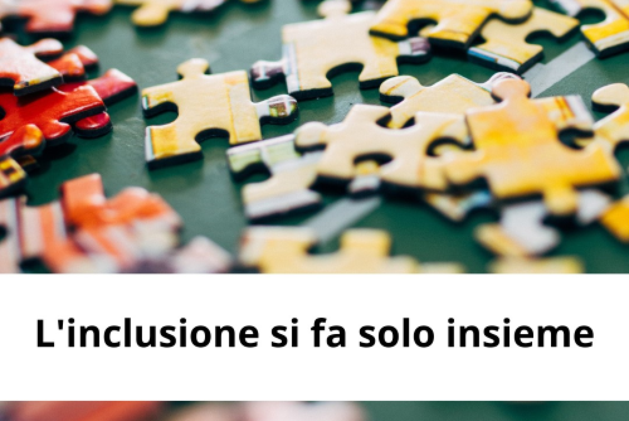 La campagna “L’inclusione si fa solo insieme”: l’evento conclusivo