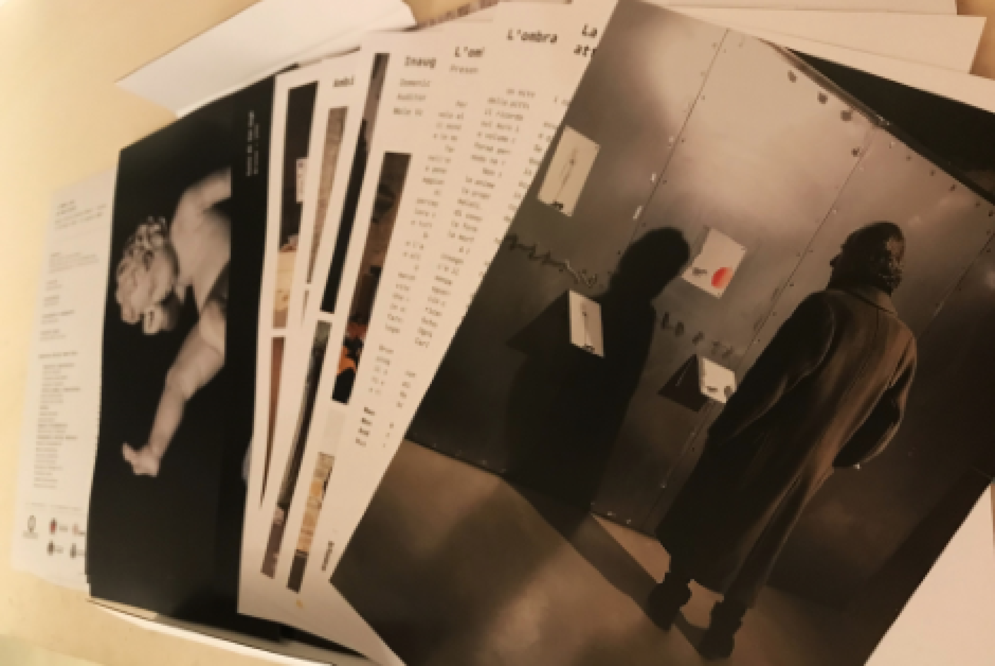 Alcune parti interne del catalogo della mostra "L'ombra vede"