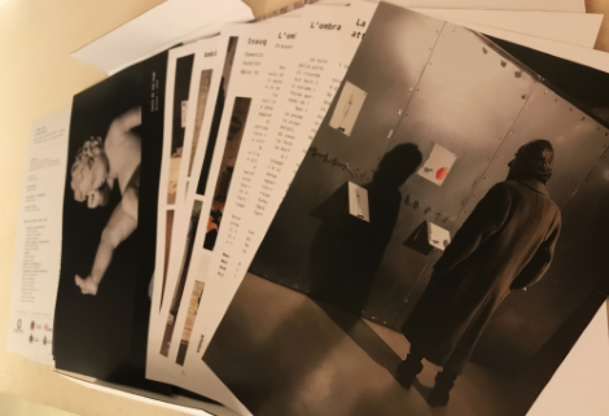 Alcune parti interne del catalogo della mostra "L'ombra vede"