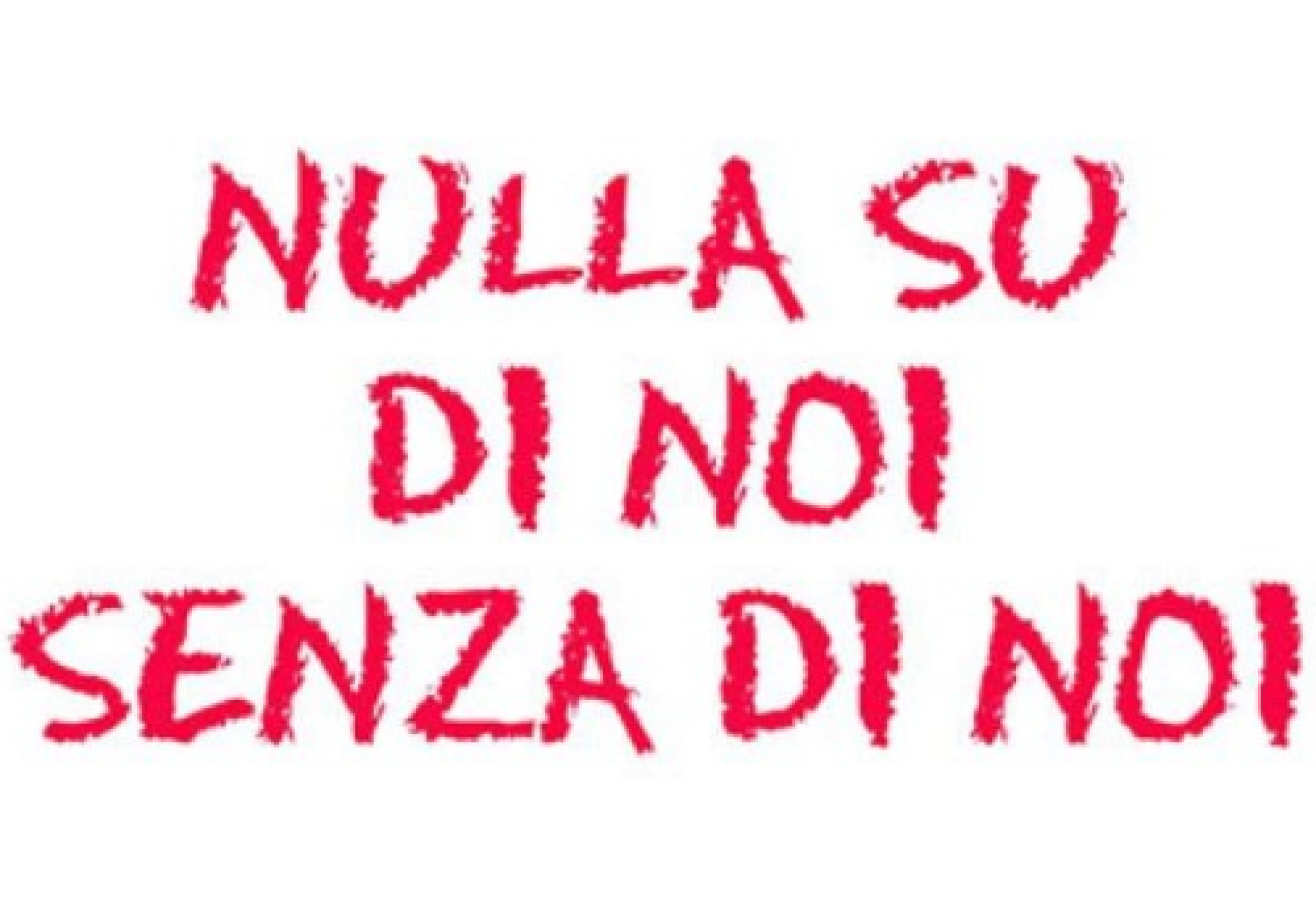 “Nulla su di Noi senza di Noi”: mai più considerarlo come un vuoto slogan privo di significato!