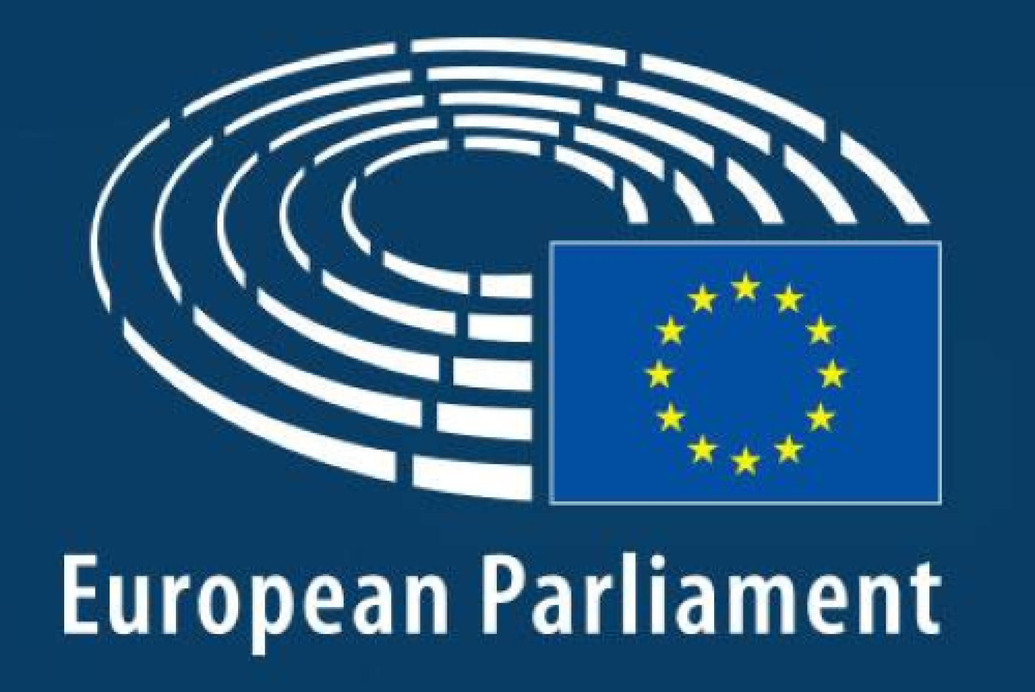 Le richieste del Parlamento Europeo per aggiornare la Strategia sui Diritti delle Persone con Disabilità