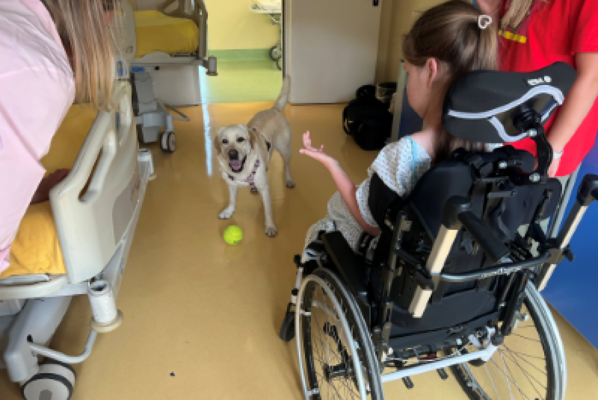 Interventi assistiti con animali per piccoli pazienti con la SMA dell’Istituto Besta di Milano