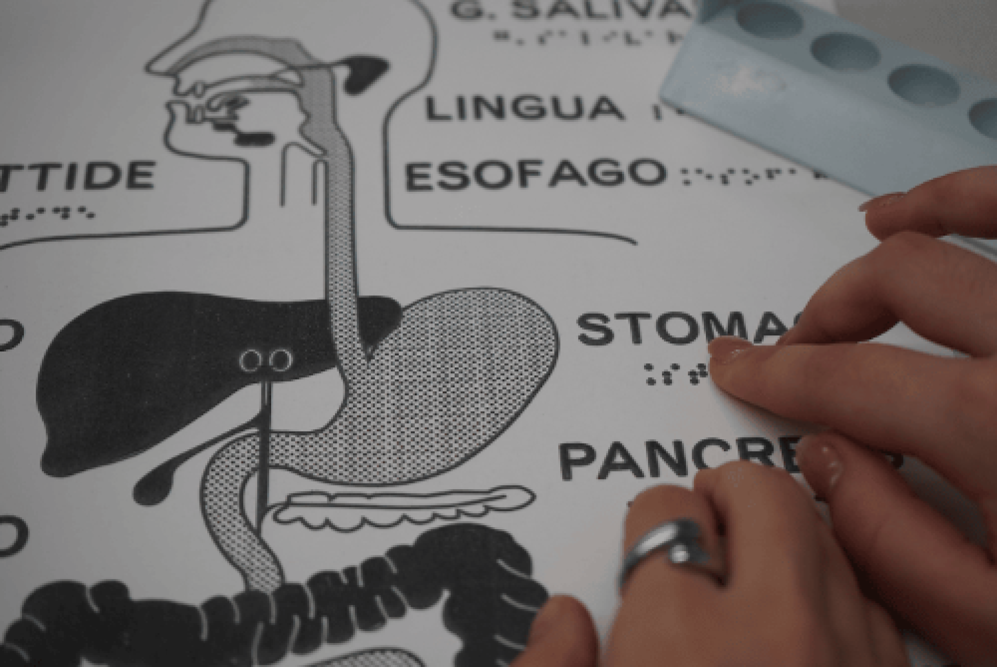 Si presenta il progetto “Scienza senza barriere”