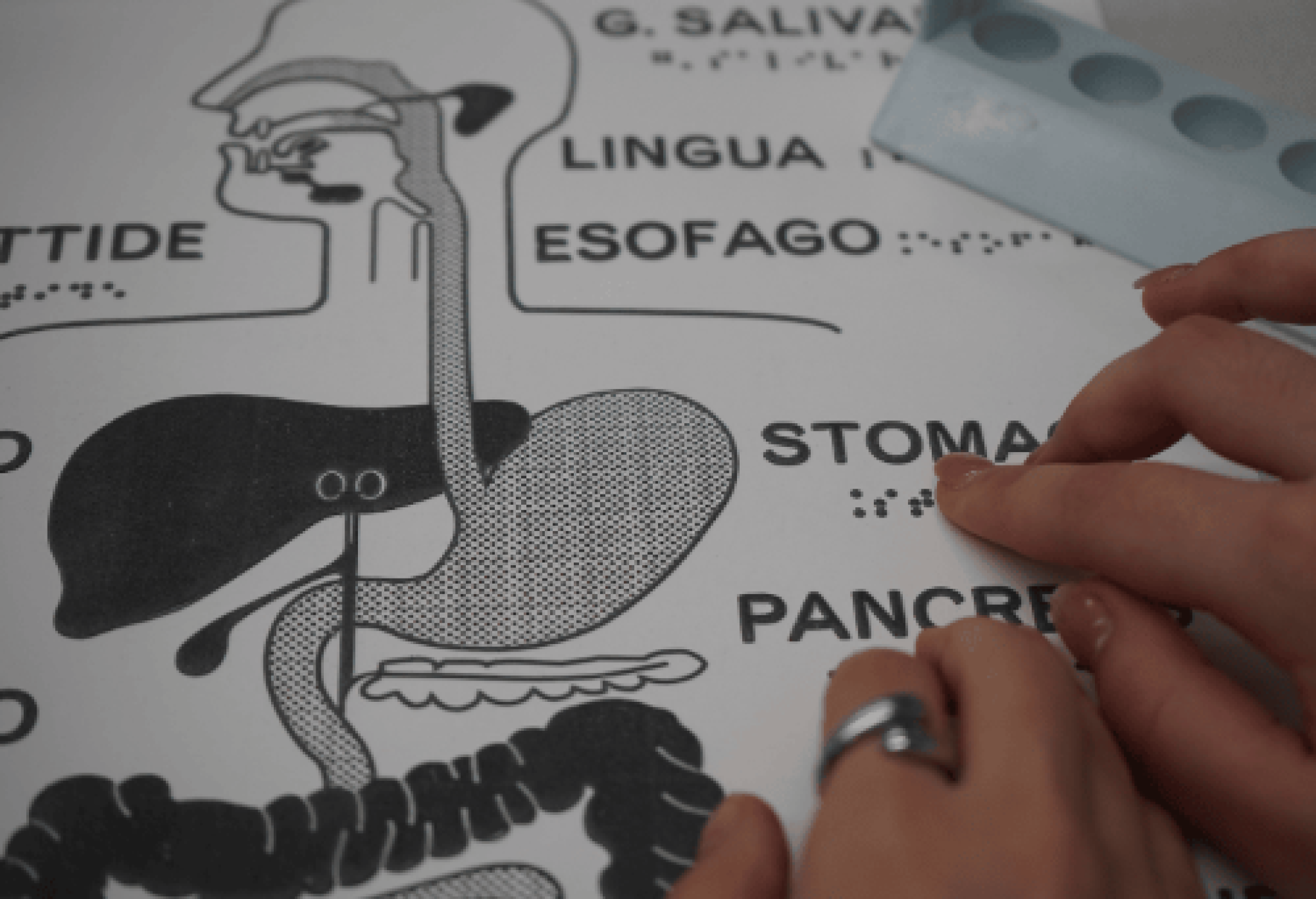 Si presenta il progetto “Scienza senza barriere”