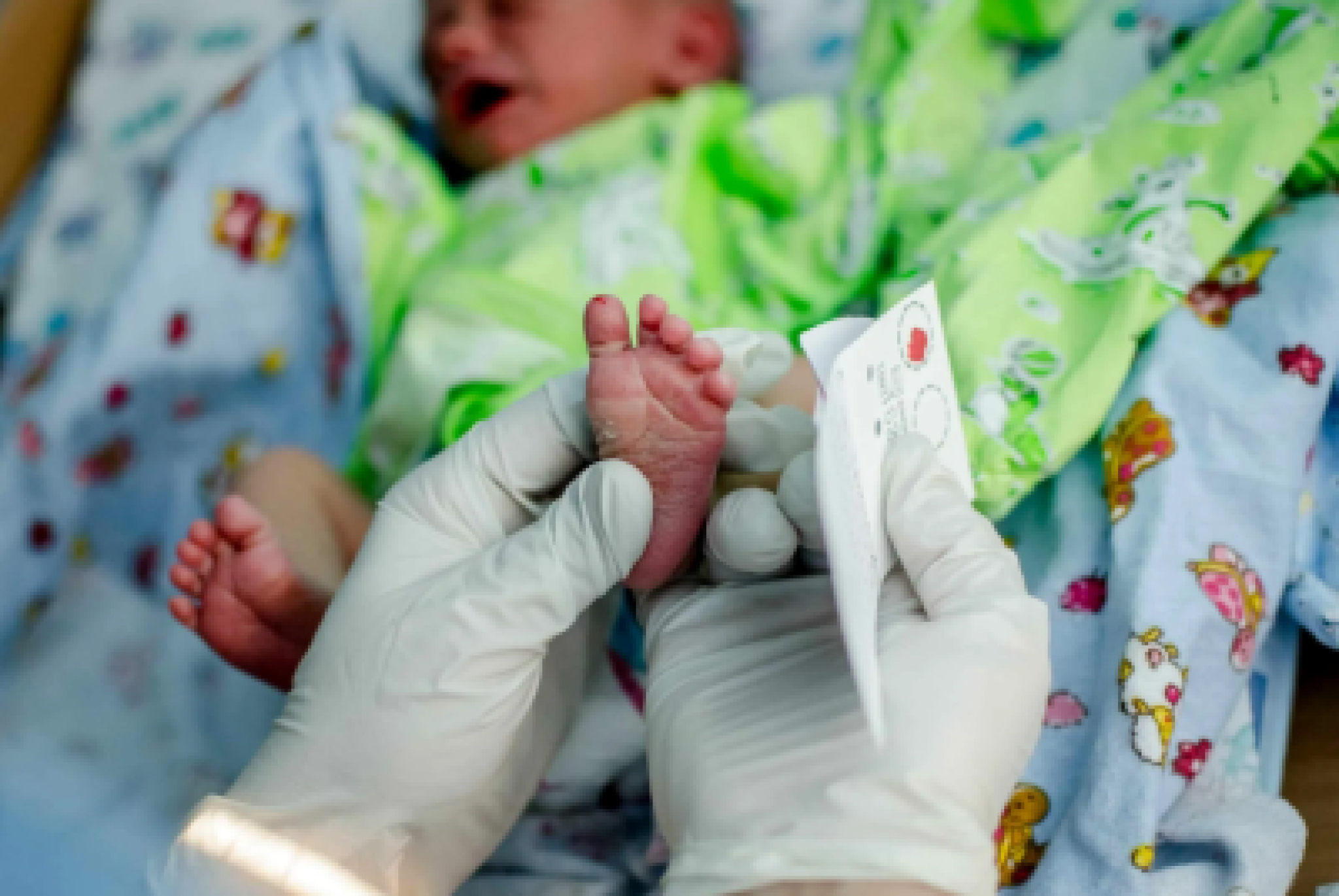 Lo screening neonatale si attua in modo del tutto non invasivo, tramite un semplice prelievo di sangue dal piedino del neonato
