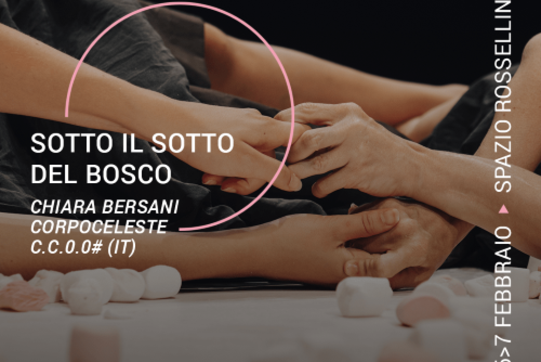 Quale “sottobosco accessibile” creare tramite la danza?