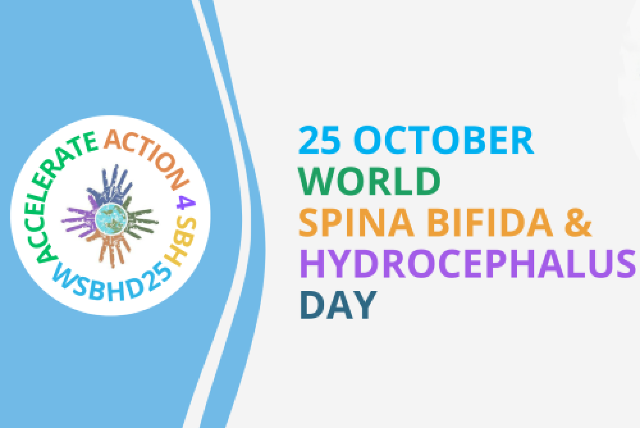 Spina bifida: prevenzione con acido folico, diagnosi precoce e gestione integrata
