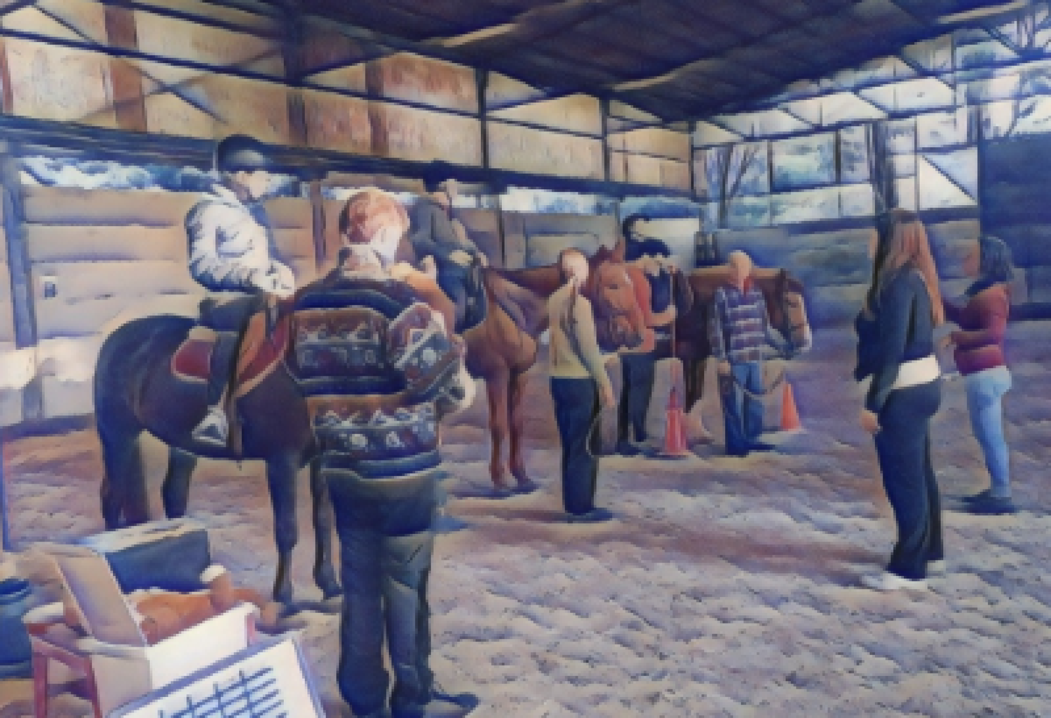 Realizzazione grafica dedicata agli interventi assistiti con il cavallo a cura del Cetro Clinico Stella Polare di Padova