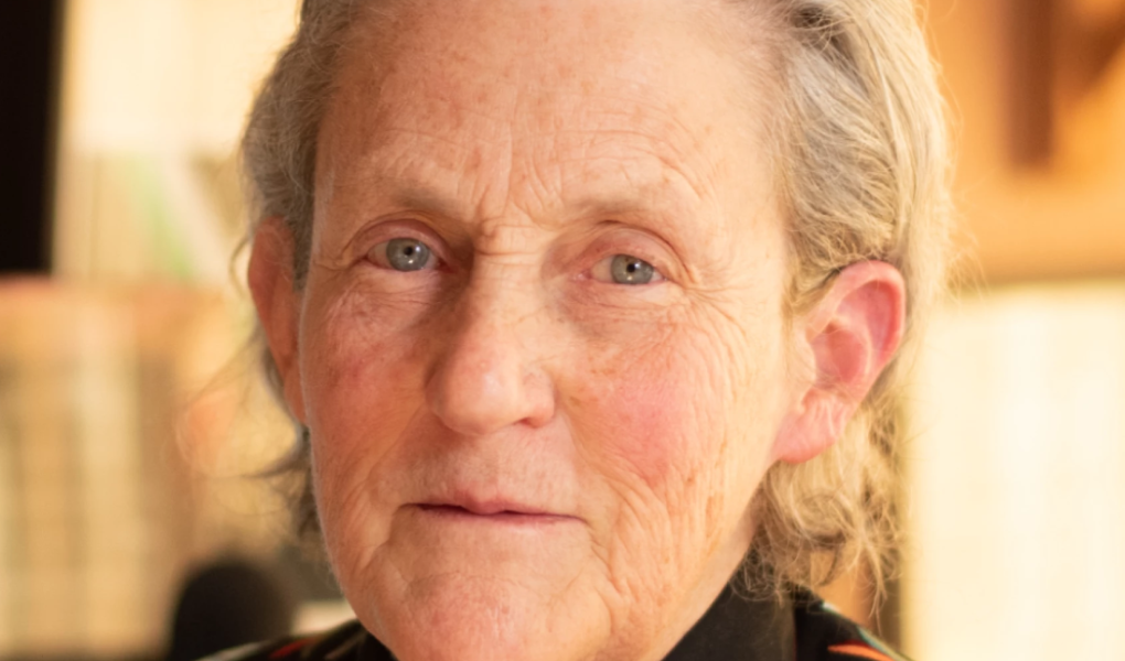 Temple Grandin, una delle persone più celebri al mondo nello spettro autistico